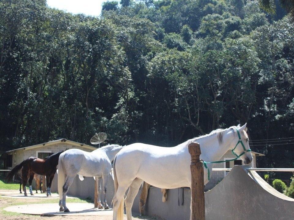 Hotel Fazenda Apm Caieiras ภายนอก รูปภาพ